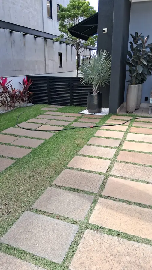 Caminho de pedras com palmeira