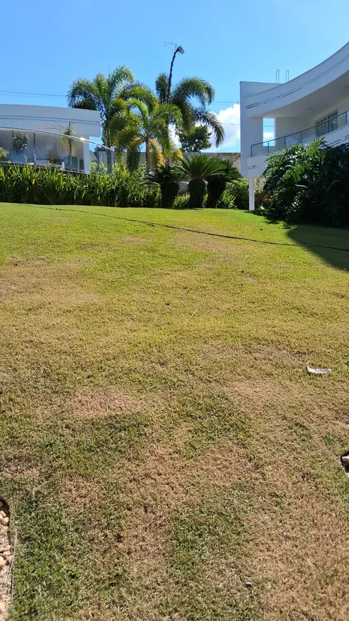 Fachada curva moderna com jardim em declive