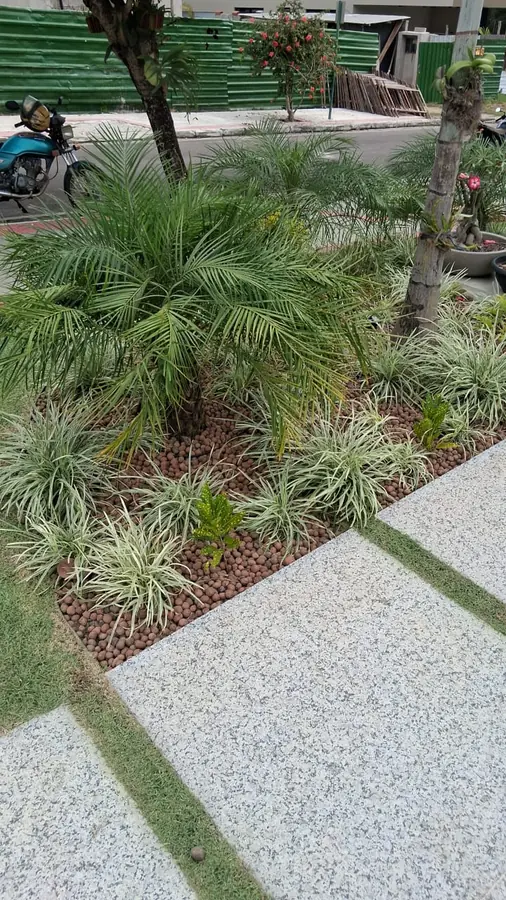 Canteiro com palmeira e forrações ornamentais