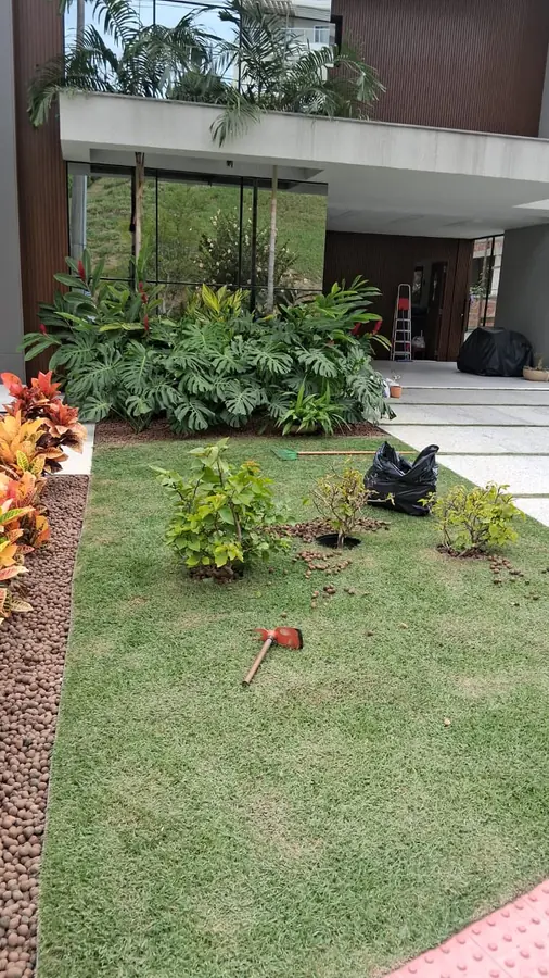 Plantio de novas mudas em andamento
