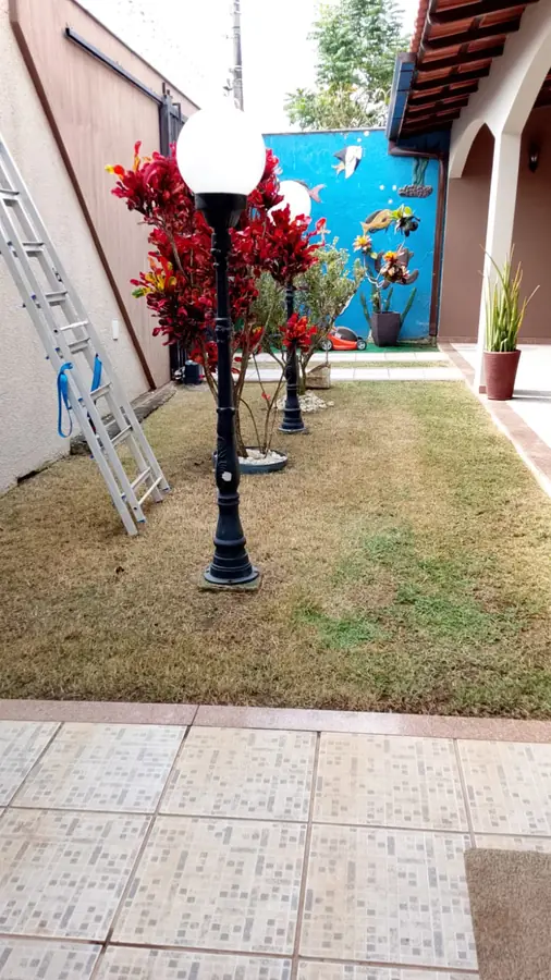 Canteiro florido com cróton vermelho